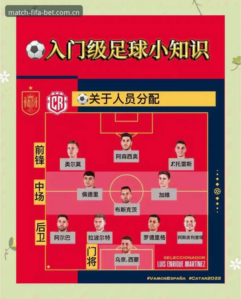 世界杯赔率解读必备知识：从新手到达人的实用指南